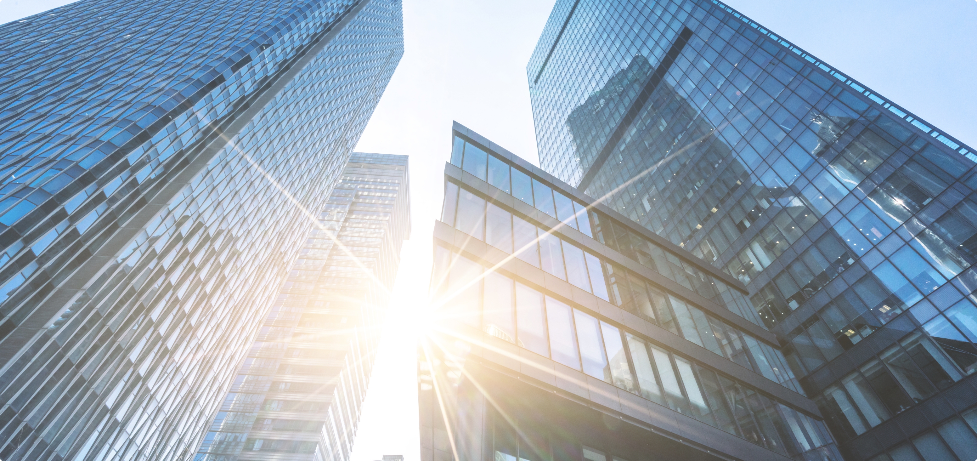 トップビジュアル